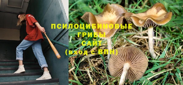 гашик Верхнеуральск