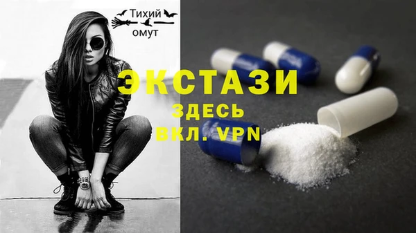 мдпв Верея