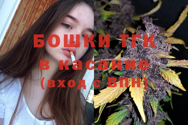 мдпв Верея