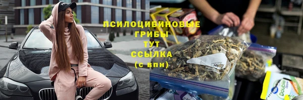 мдпв Верея