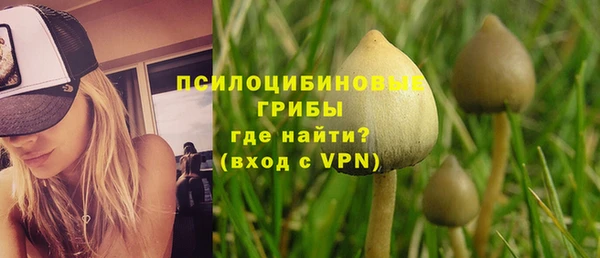 мдпв Верея